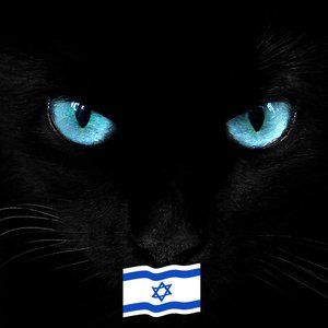 Meet your Posher, Laurel